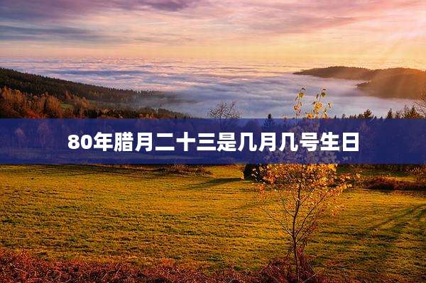 80年腊月二十三是几月几号生日