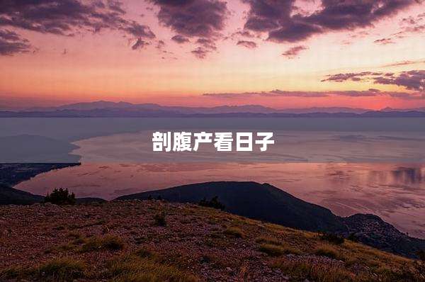 剖腹产看日子