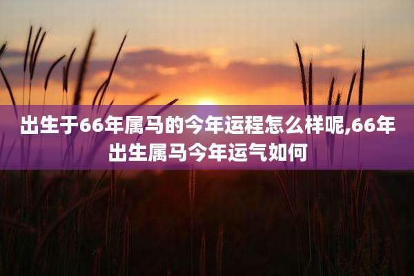 出生于66年属马的今年运程怎么样呢,66年出生属马今年运气如何