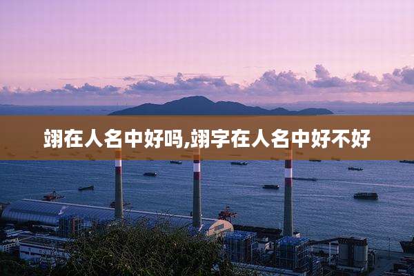 翊在人名中好吗,翊字在人名中好不好