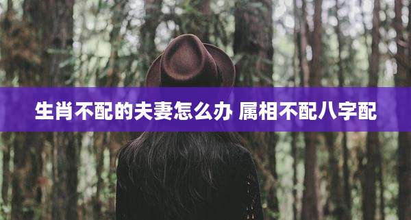 生肖不配的夫妻怎么办 属相不配八字配