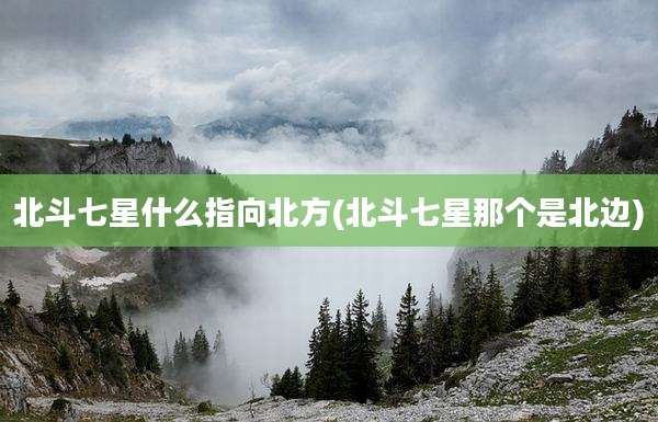 北斗七星什么指向北方(北斗七星那个是北边)