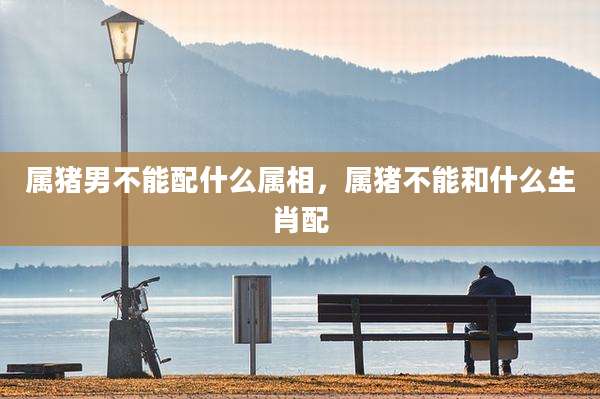 属猪男不能配什么属相，属猪不能和什么生肖配