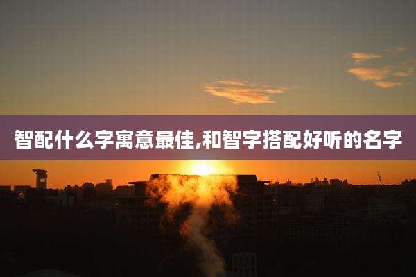智配什么字寓意最佳,和智字搭配好听的名字