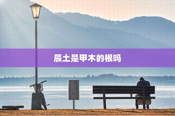 辰土是甲木的根吗