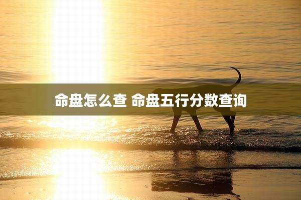 命盘怎么查 命盘五行分数查询