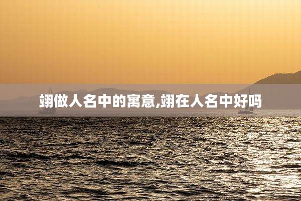 翊做人名中的寓意,翊在人名中好吗