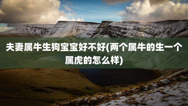 夫妻属牛生狗宝宝好不好(两个属牛的生一个属虎的怎么样)