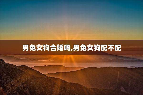 男兔女狗合婚吗,男兔女狗配不配