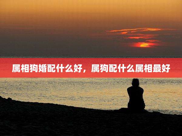 属相狗婚配什么好,属狗配什么属相最好