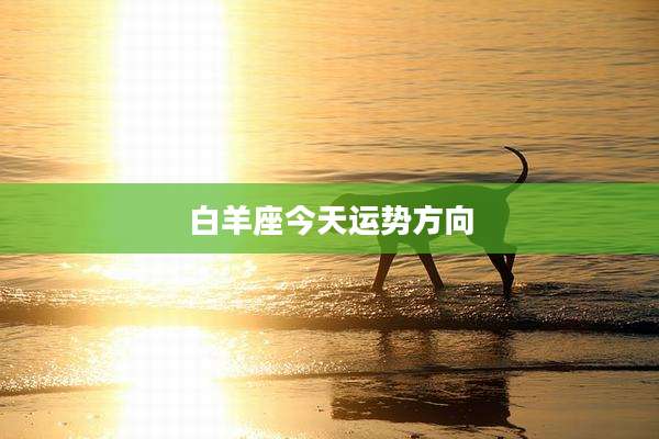 白羊座今天运势方向