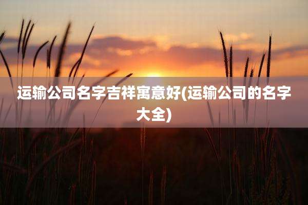 运输公司名字吉祥寓意好(运输公司的名字大全)