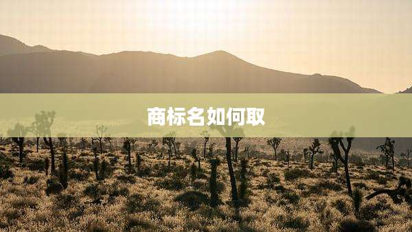 商标名如何取