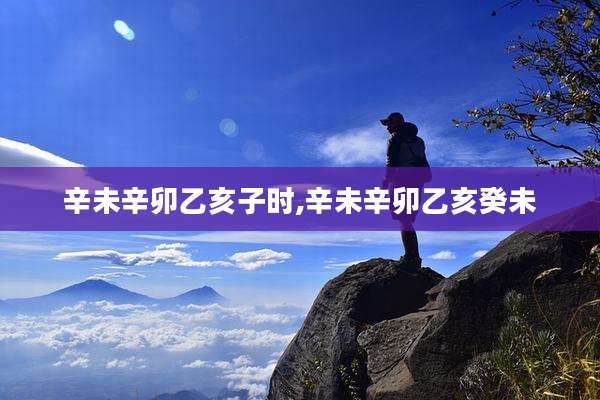 辛未辛卯乙亥子时,辛未辛卯乙亥癸未