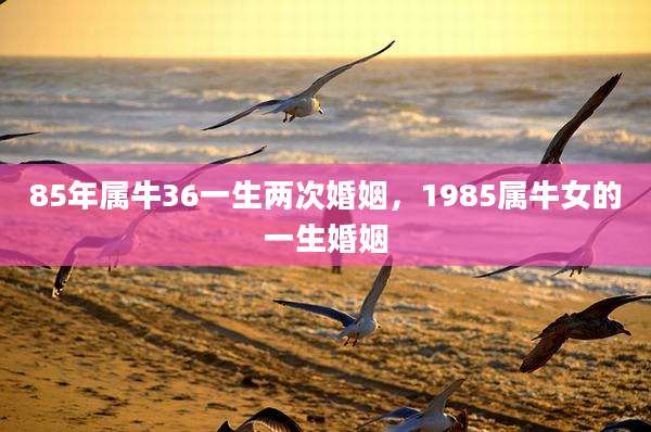 85年属牛36一生两次婚姻,1985属牛女的一生婚姻