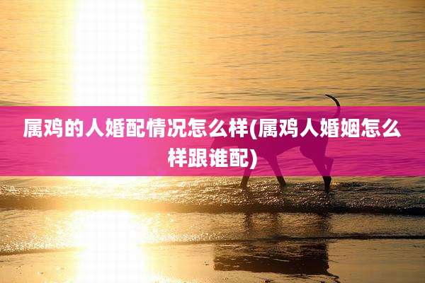 属鸡的人婚配情况怎么样(属鸡人婚姻怎么样跟谁配)