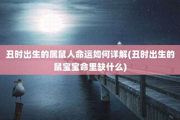 丑时出生的属鼠人命运如何详解(丑时出生的鼠宝宝命里缺什么)