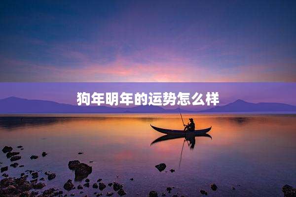 狗年明年的运势怎么样