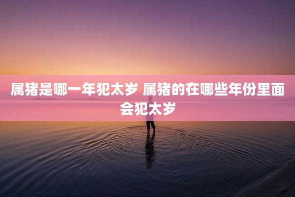 属猪是哪一年犯太岁 属猪的在哪些年份里面会犯太岁