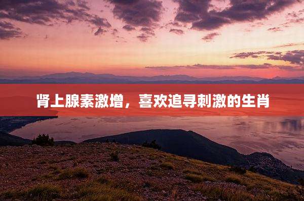 肾上腺素激增,喜欢追寻刺激的生肖