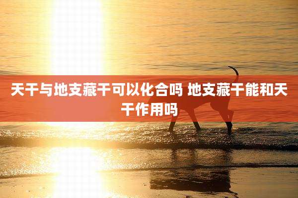 天干与地支藏干可以化合吗 地支藏干能和天干作用吗