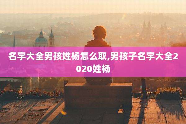 名字大全男孩姓杨怎么取,男孩子名字大全2020姓杨