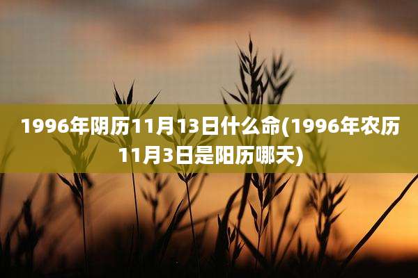 1996年阴历11月13日什么命(1996年农历11月3日是阳历哪天)