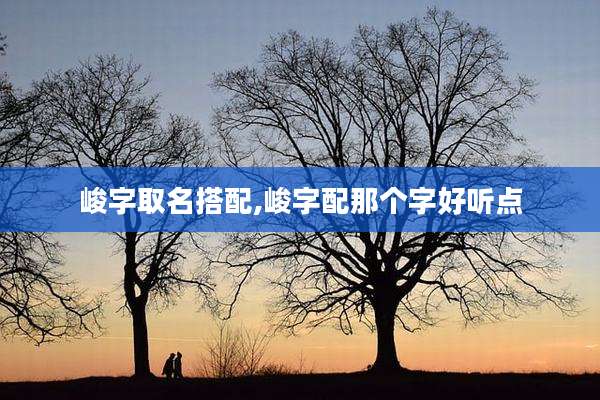 峻字取名搭配,峻字配那个字好听点