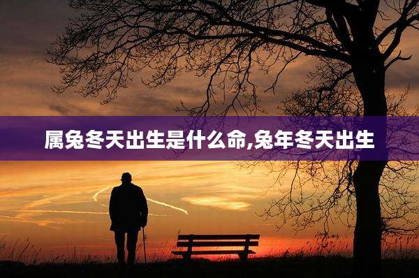 属兔冬天出生是什么命,兔年冬天出生