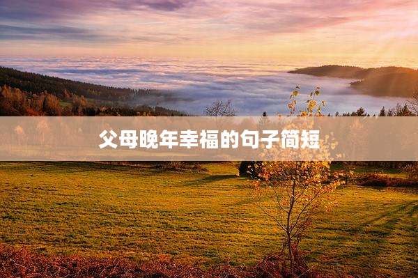 父母晚年幸福的句子简短