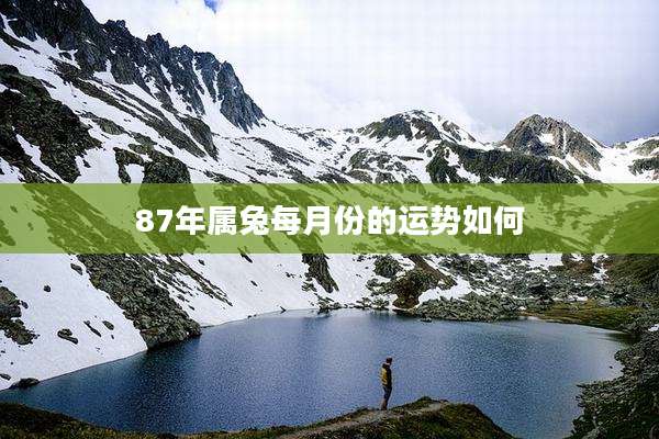 87年属兔每月份的运势如何