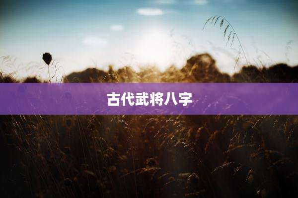 古代武将八字