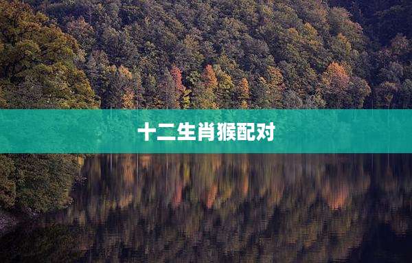 十二生肖猴配对