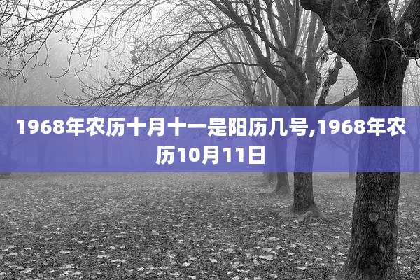 1968年农历十月十一是阳历几号,1968年农历10月11日