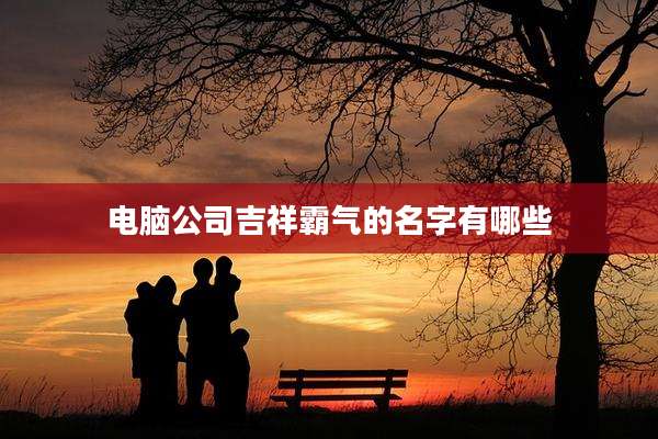 电脑公司吉祥霸气的名字有哪些