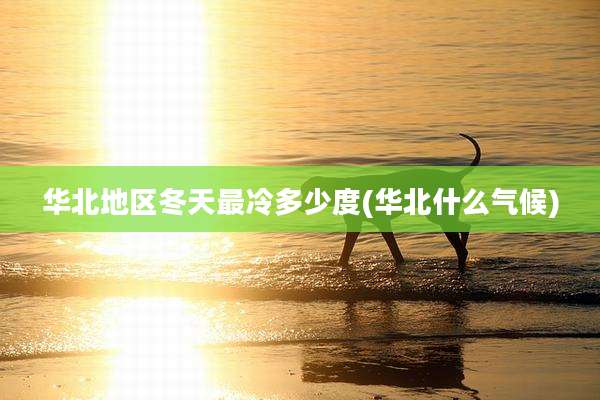 华北地区冬天最冷多少度(华北什么气候)