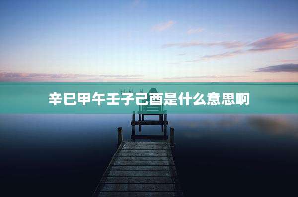 辛巳甲午壬子己酉是什么意思啊