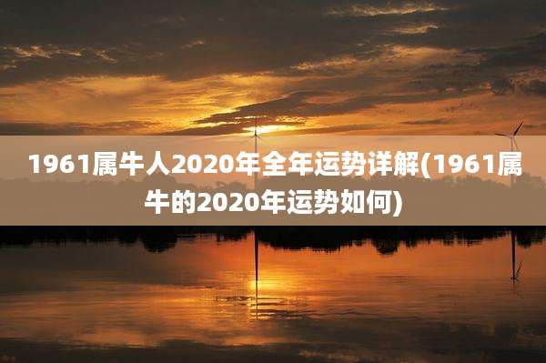 1961属牛人2020年全年运势详解(1961属牛的2020年运势如何)