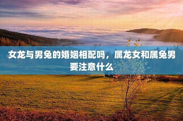 女龙与男兔的婚姻相配吗，属龙女和属兔男要注意什么