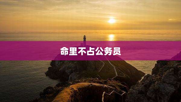 命里不占公务员