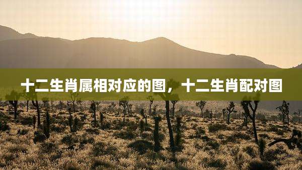 十二生肖属相对应的图，十二生肖配对图