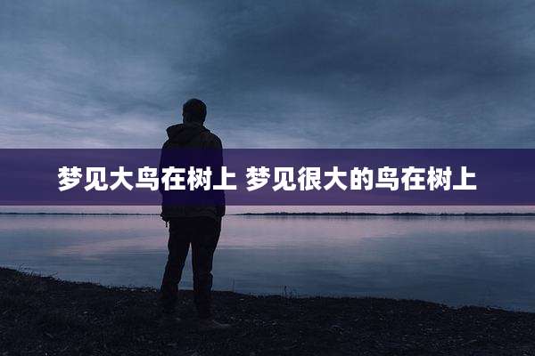 梦见大鸟在树上 梦见很大的鸟在树上