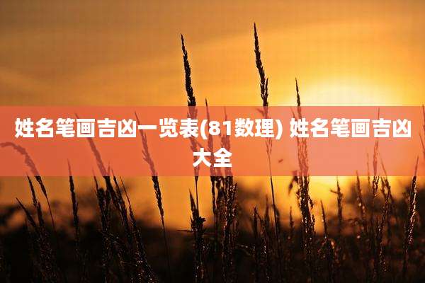 姓名笔画吉凶一览表(81数理) 姓名笔画吉凶大全