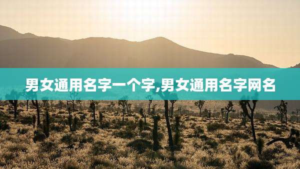 男女通用名字一个字,男女通用名字网名