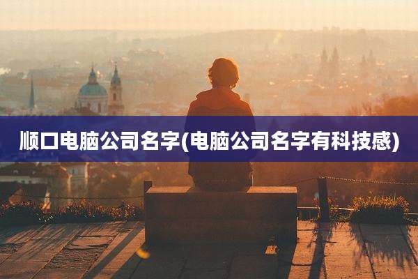 顺口电脑公司名字(电脑公司名字有科技感)