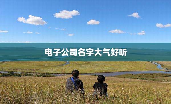 电子公司名字大气好听