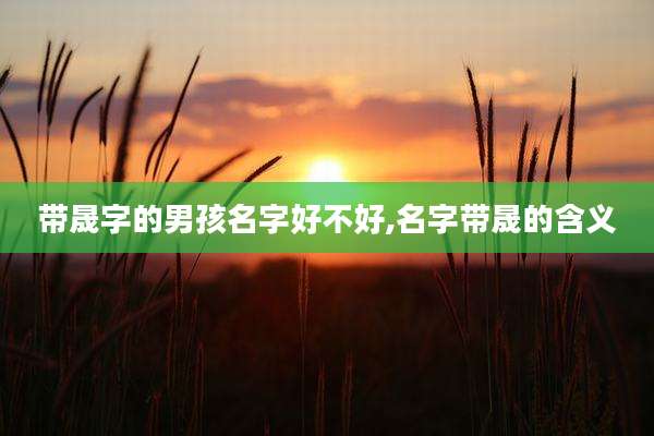 带晟字的男孩名字好不好,名字带晟的含义