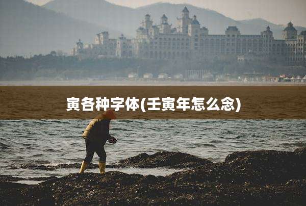 寅各种字体(壬寅年怎么念)