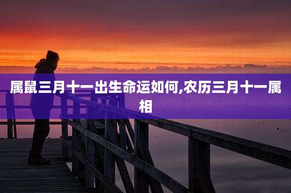 属鼠三月十一出生命运如何,农历三月十一属相