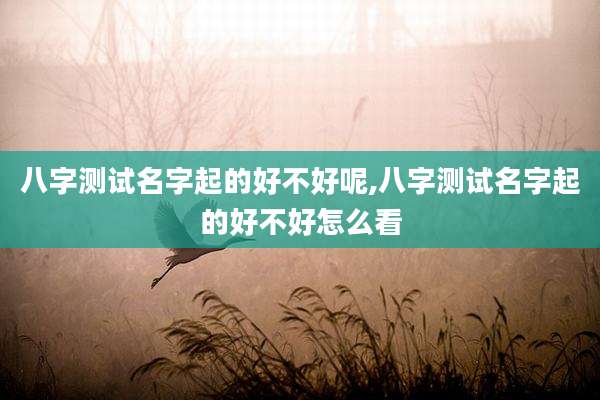八字测试名字起的好不好呢,八字测试名字起的好不好怎么看